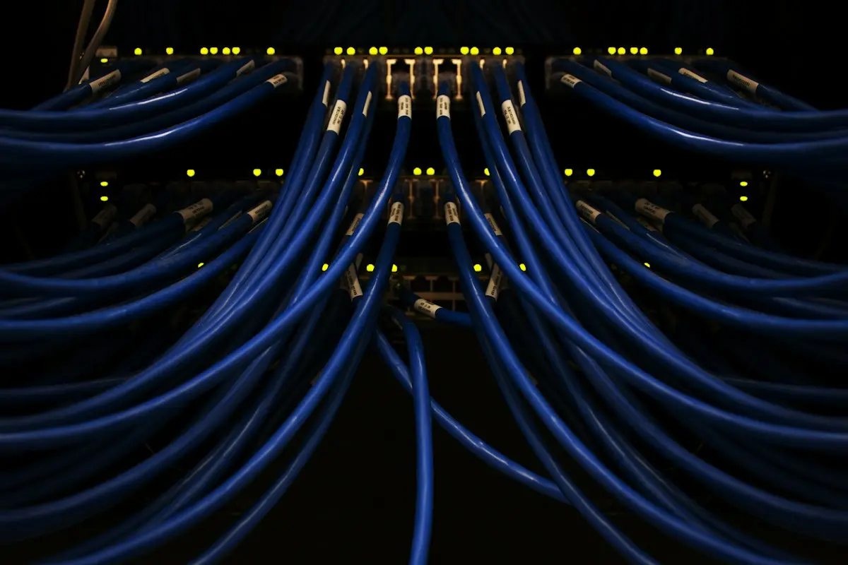 Neatly dressed blue network cables in a patch panel